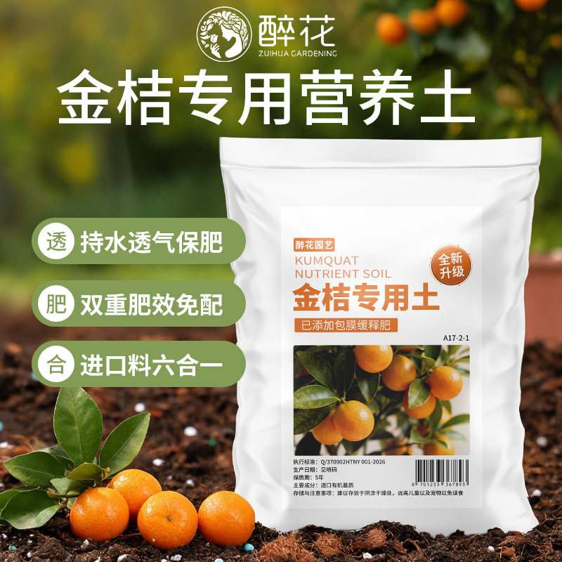 金桔专用土广西甘草脆皮金桔树苗