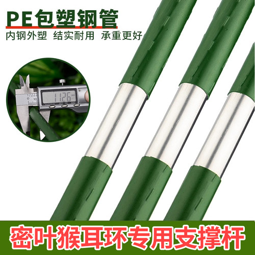 番茄西红柿植物防倒支撑杆