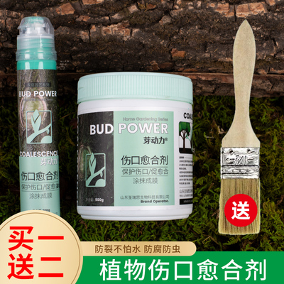 植物伤口愈合剂嫁接涂抹修复愈合