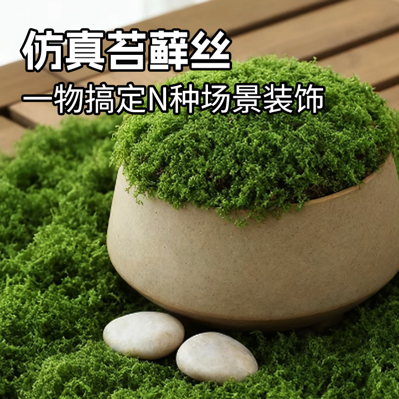 仿真苔藓丝造景草皮微景观布置图片