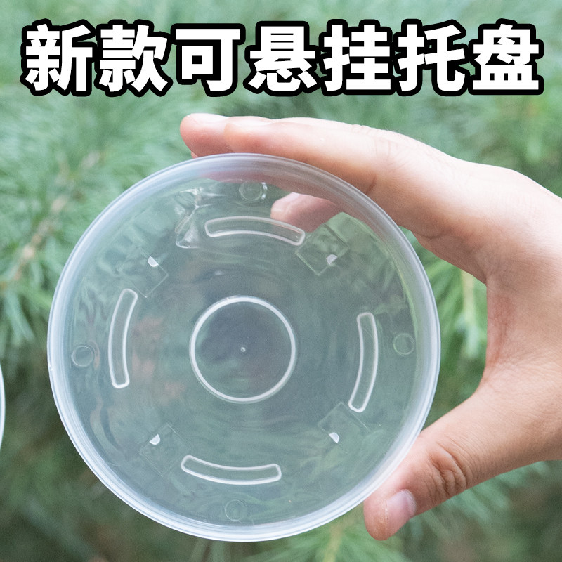 空气柱花盆专用透明托盘,鲜花速递/花卉仿真/绿植园艺,花盆,淘宝优惠券,粉丝福利购,淘宝优惠卷