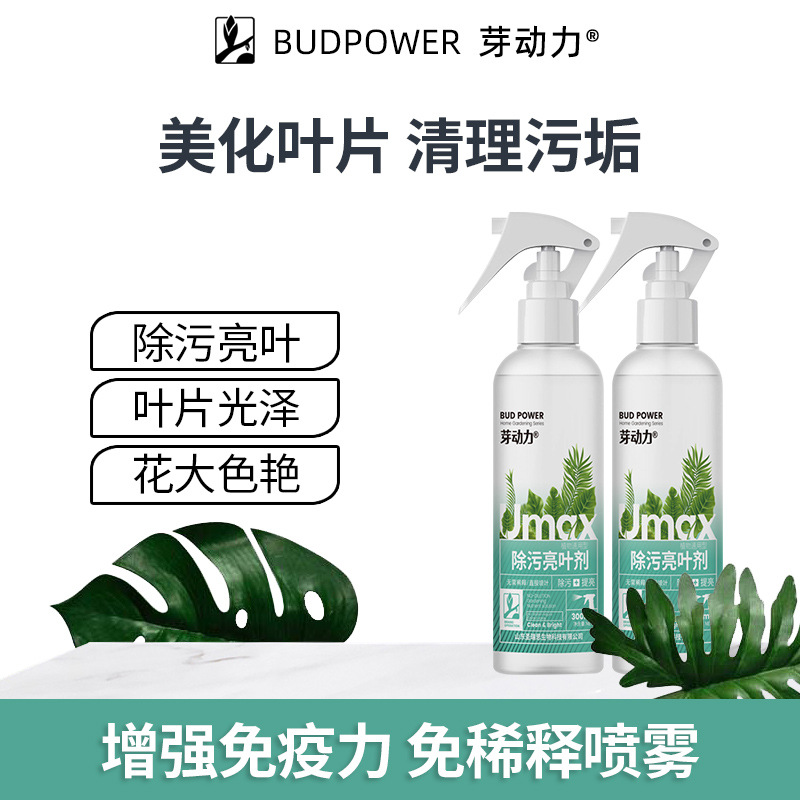 植物亮叶剂花卉除污剂叶面光亮剂清洗灰尘增光喷净免稀释叶面肥