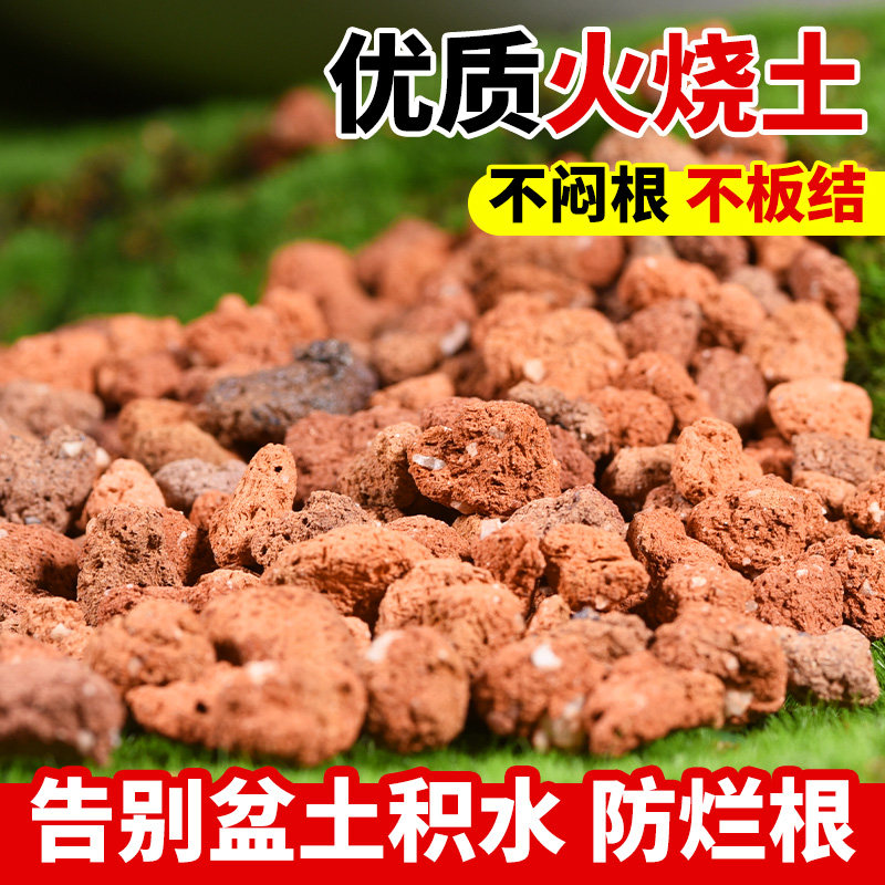 火烧土多肉君子兰蝴蝶兰盆栽兰花专用拌土铺面疏松透气红土颗粒