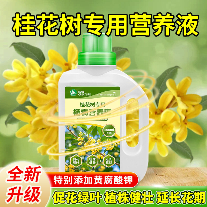 花多多桂花树专用营养液