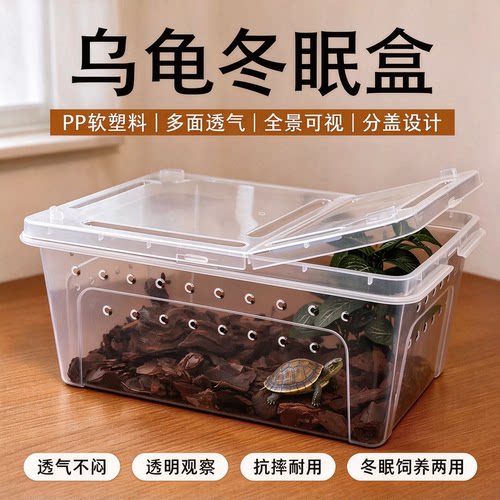 爬虫乌龟冬眠小号饲养盒角
