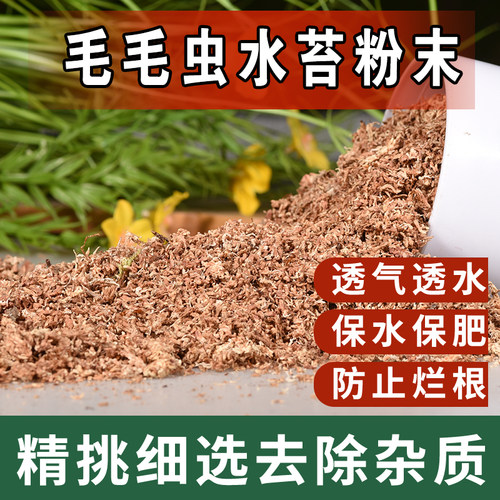 水苔粉末毛毛虫水苔碎末兰花营养