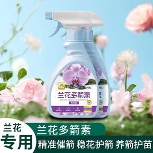 兰花催花爆芽素多箭素促箭王专用营养液爆根王兰花肥料多剑王