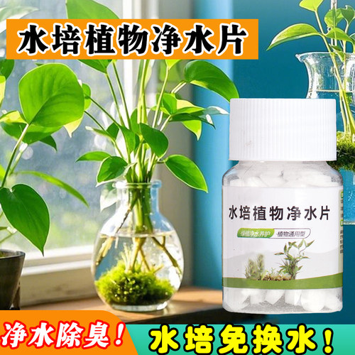 水培植物净水片鲜花花卉保鲜剂不臭水碗莲专用杀菌消毒片净化水质