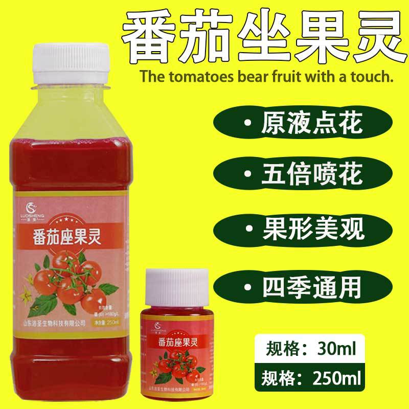 番茄授粉座果灵点花坐保防