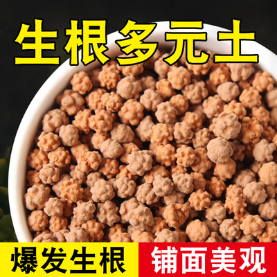 多元土多肉铺面土生根土