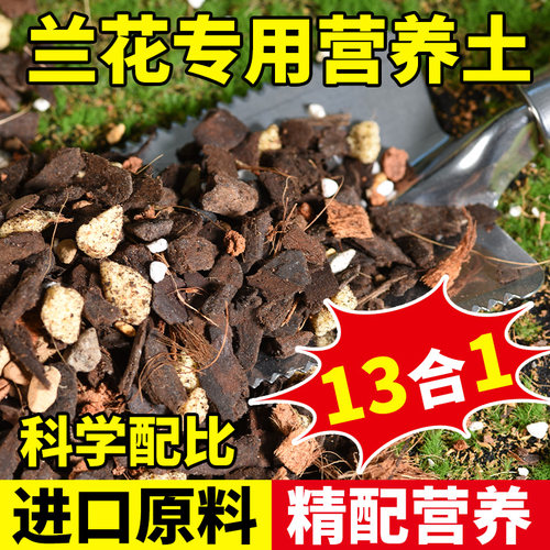 兰花专用土养兰花植料