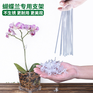 蝴蝶兰支撑杆高透明亚克力莲夹子植物花防倒爬藤类固定造型支架