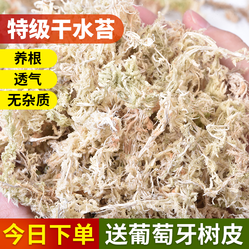 水苔蝴蝶兰专用营养土