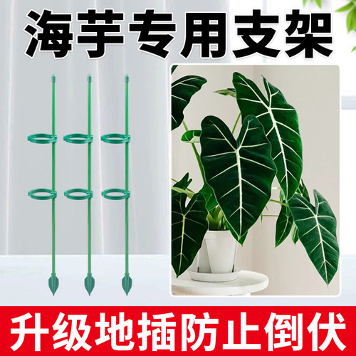 海芋专用支撑杆全新设计更安全