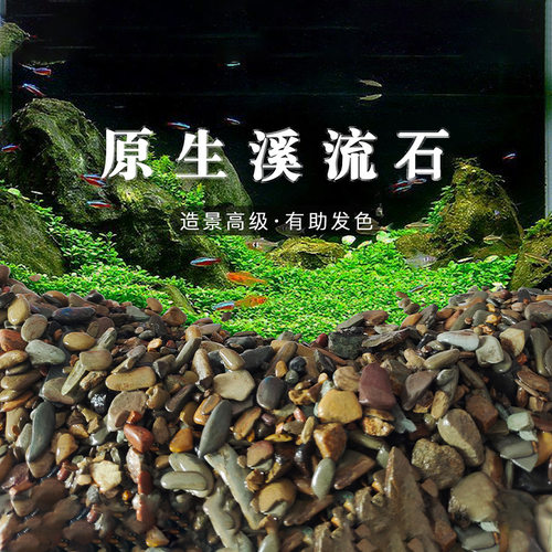 原生鱼缸造景底砂溪流石水