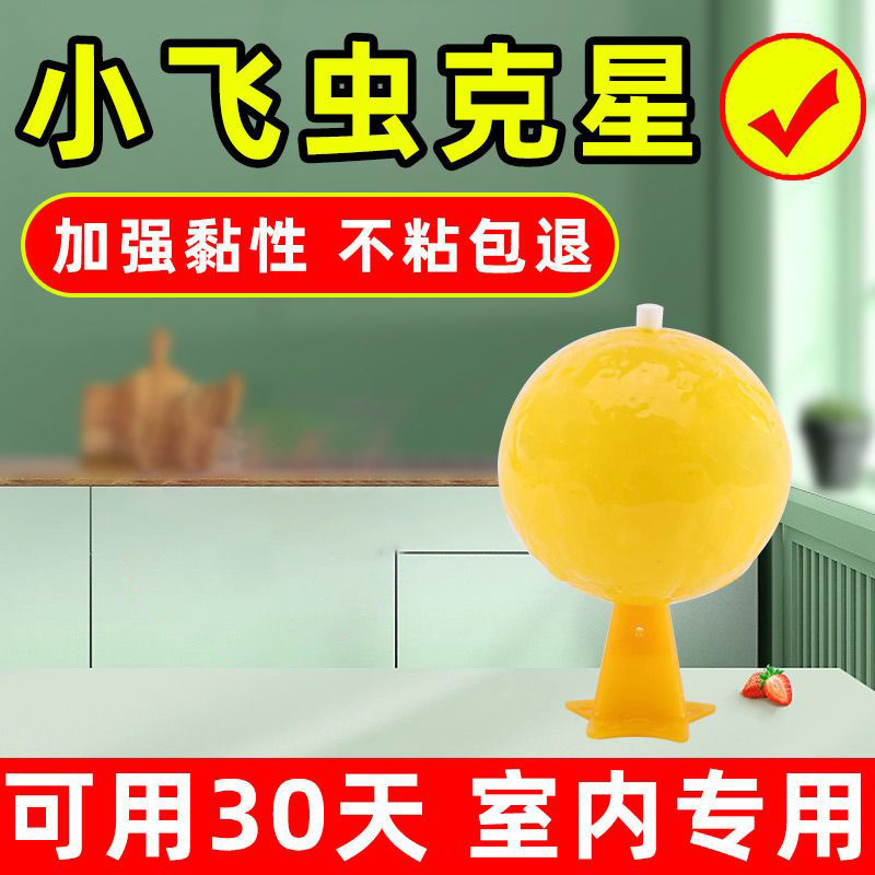 小飞虫克星室内除果蝇苍无