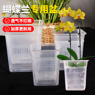 蝴蝶兰套盆半水培方花盆控根透气养根内外桶透明种花盆栽兰花专用