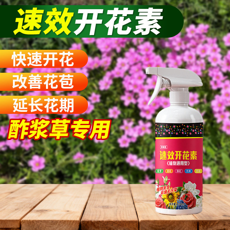 酢浆草爆花专用速效开花素高浓缩即喷营养液安全快速促花催花,鲜花速递/花卉仿真/绿植园艺,家庭园艺肥料,淘宝优惠券,粉丝福利购,淘宝优惠卷