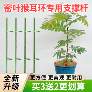 密叶猴耳环专用植物防倒支撑杆爬藤架可调植物园艺支撑杆不伤枝茎