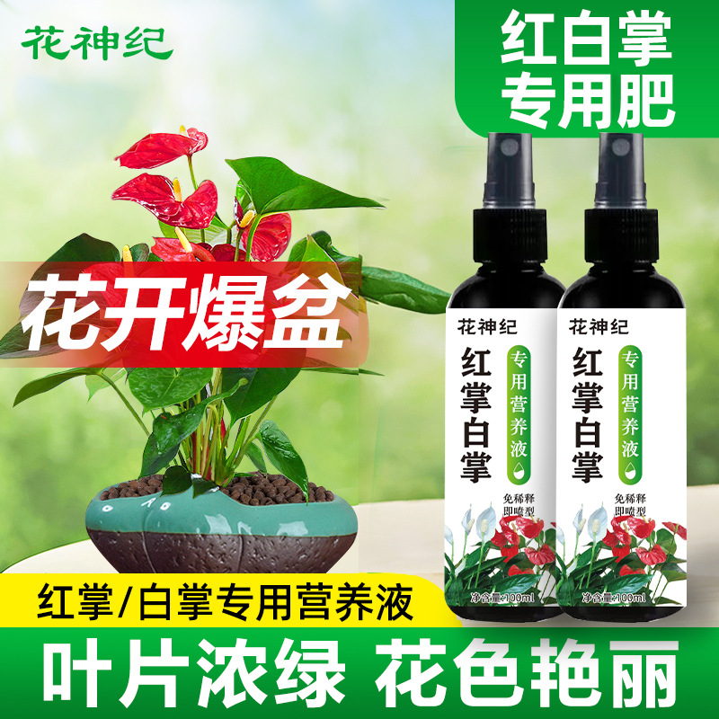 红掌专用肥料白营养液一帆
