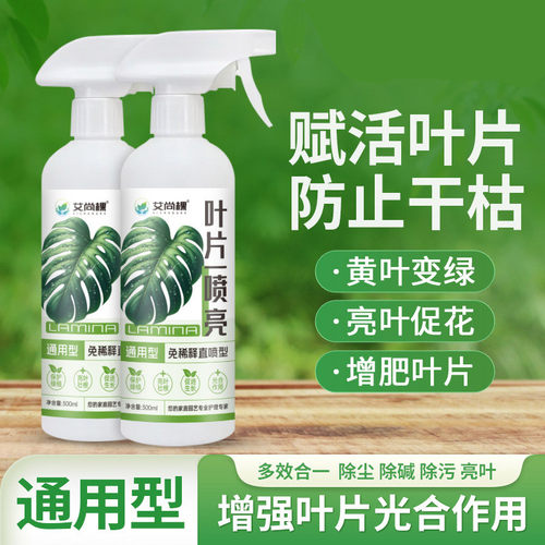 艾尚棵室内绿植叶片一喷亮