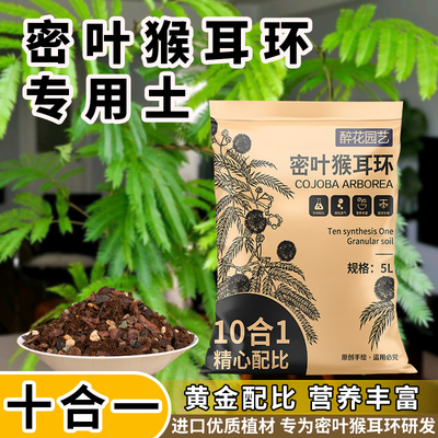 密叶猴耳环专用土热植专用土透气