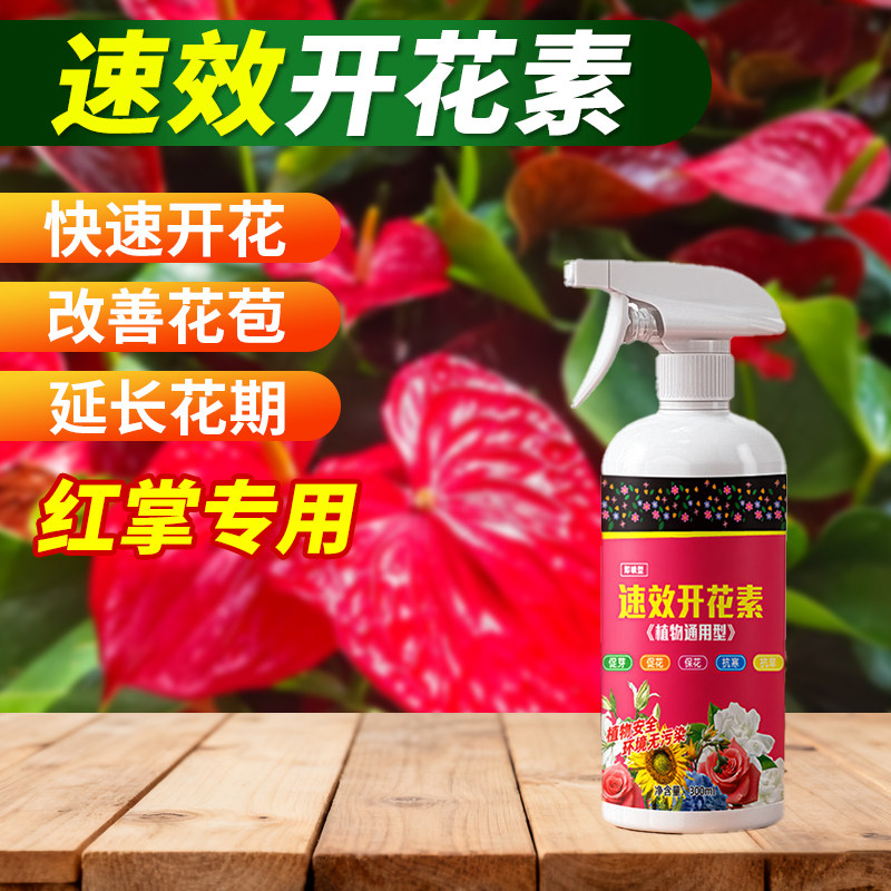 红掌开花素速效安全养花促花爆花即喷型高浓缩营养液家用植物通用
