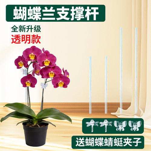 花多多蝴蝶兰支撑杆高透明亚克力夹子蝴蝶兰防倒固定造型支架