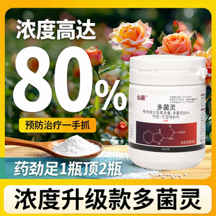 80%多菌灵杀菌剂果蔬花卉通用防治叶斑病根腐病霜霉病广谱杀菌