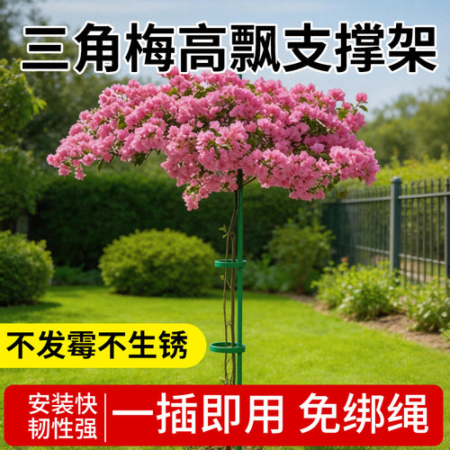 三角梅高飘支撑架种菜专用架子防倒伏爬藤架阳台固定杆园艺花架