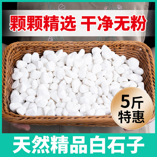 小白石子白石头鹅卵石铺面石