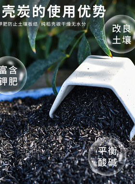 稻壳炭钾肥花用纯草木灰肥料杀虫谷壳炭发酵腐熟砻糠钾肥花用多肉