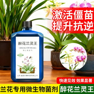 兰灵王兰花专用促花活化剂营养液肥料兰灵王君子兰蝴蝶兰石斛兰科