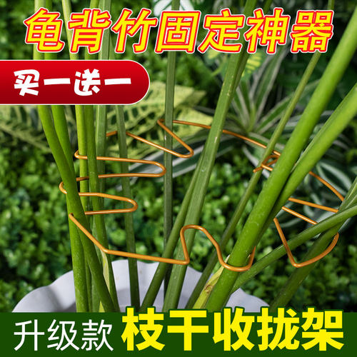植物支架龟背竹支撑杆春羽水培绿植物防倒伏收拢架园艺绿植固定器