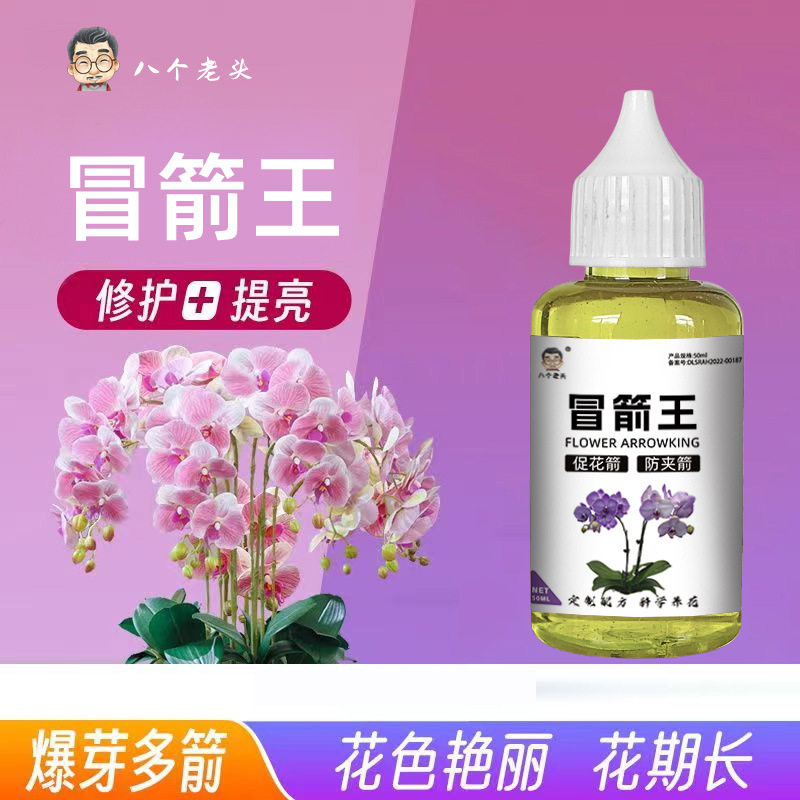 冒箭王蝴蝶兰君子花专用促图片