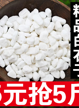 鹅卵石天然雨花石小白石子多肉铺面石盆栽花盆养花水培白色石头