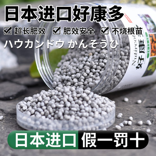 下单送兰灵王兰花专用缓释180天