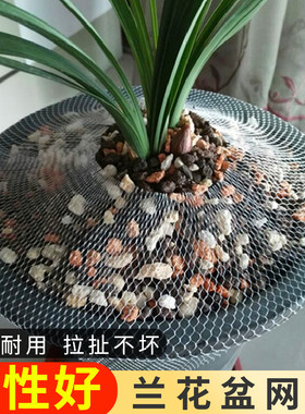 兰花盆网套网罩防漏土