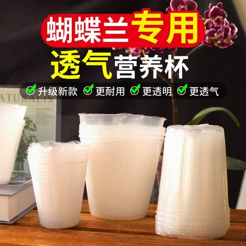 加厚材质营养杯让根部自由呼吸