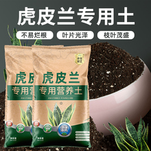 栽种金边虎皮兰专用土营养土用土花土种养殖土壤虎尾兰土专用肥料
