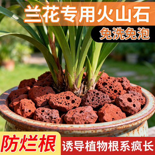 兰花专用火山石颗粒养花营养土植料铺面垫底拌土砂石石料红火山岩