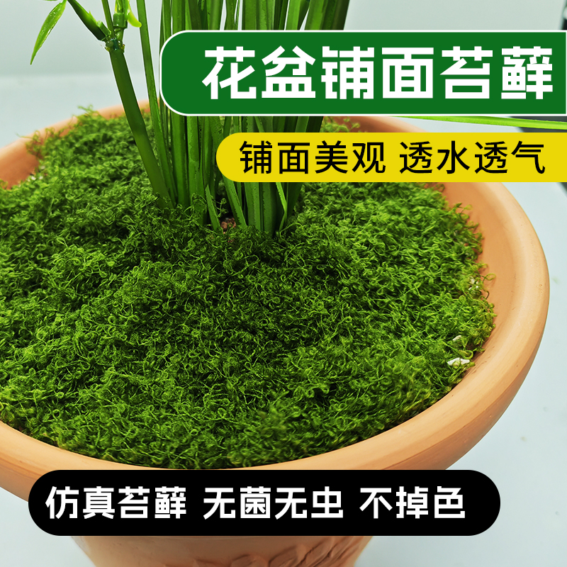 仿真苔藓丝丛林假青苔仿生