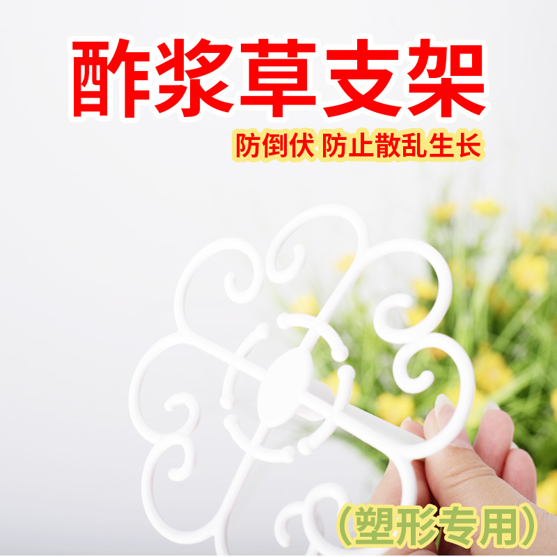 花多多酢浆草专用支架花架园艺阳台室内固定支撑架防倒伏简约造型