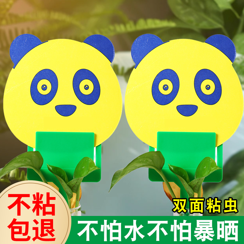 小黄板粘虫板双面防水小黑飞花型果蝇诱粘剂诱蝇球果园大棚熊猫型