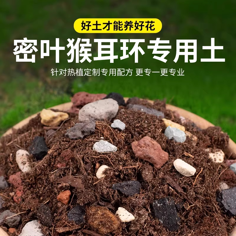 猴耳环专用土种植室内盆栽用土