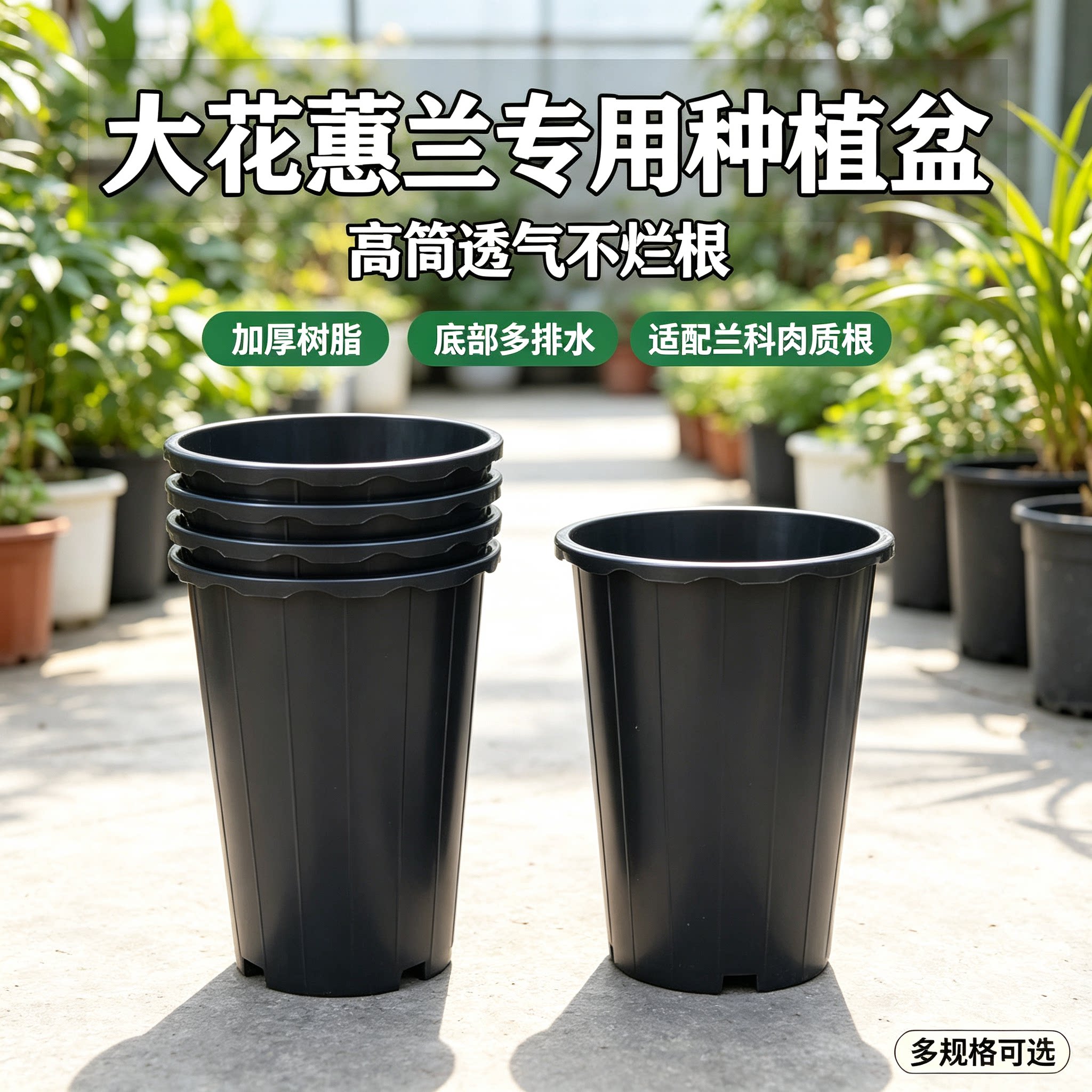 兰花盆园艺兰花盆种植盆栽塑料透气大号黑色四季兰君子兰花专用盆