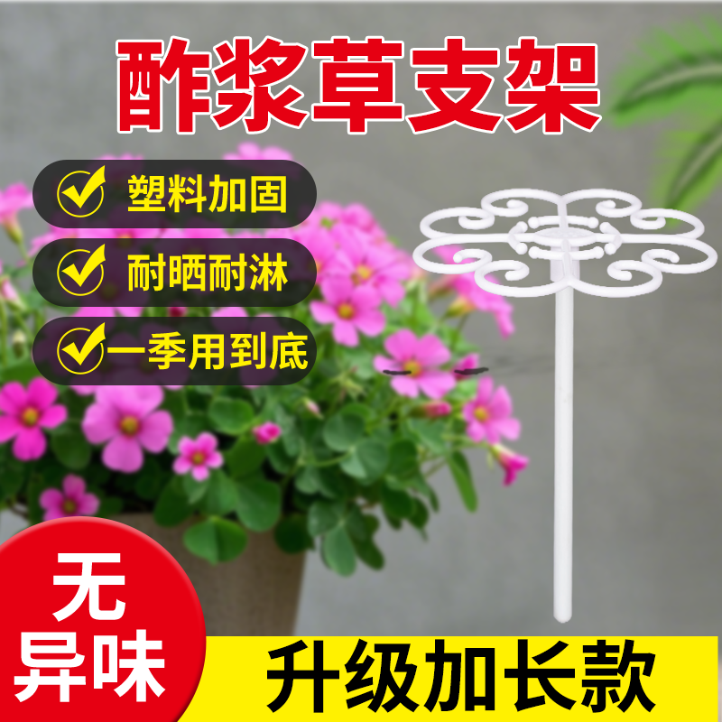 酢浆草早花太阳花专用支架防倒伏花架园艺固定支撑架造型园艺工具