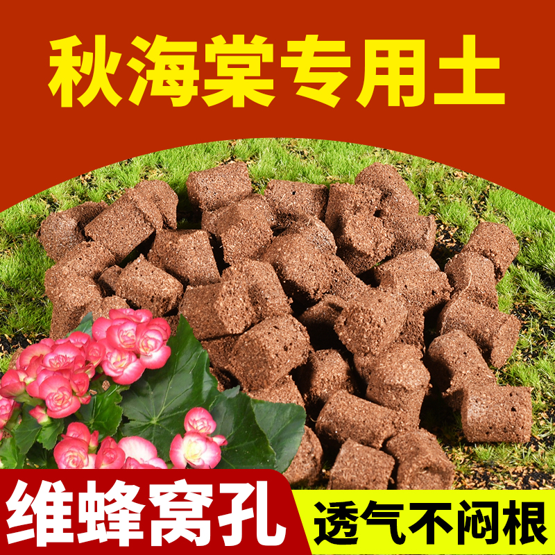 蜂巢颗粒植料秋海棠专用土花营养土基质热植土泥炭透气养花椰糠