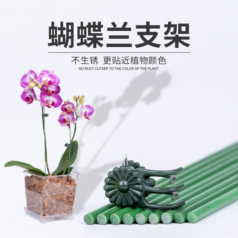 蝴蝶兰花支架夹子植物支撑杆