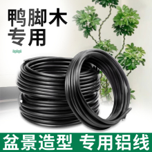 鸭脚木专用盆景造型铝丝铝线盘扎定型吕丝三角梅蟠扎花卉园艺铁丝